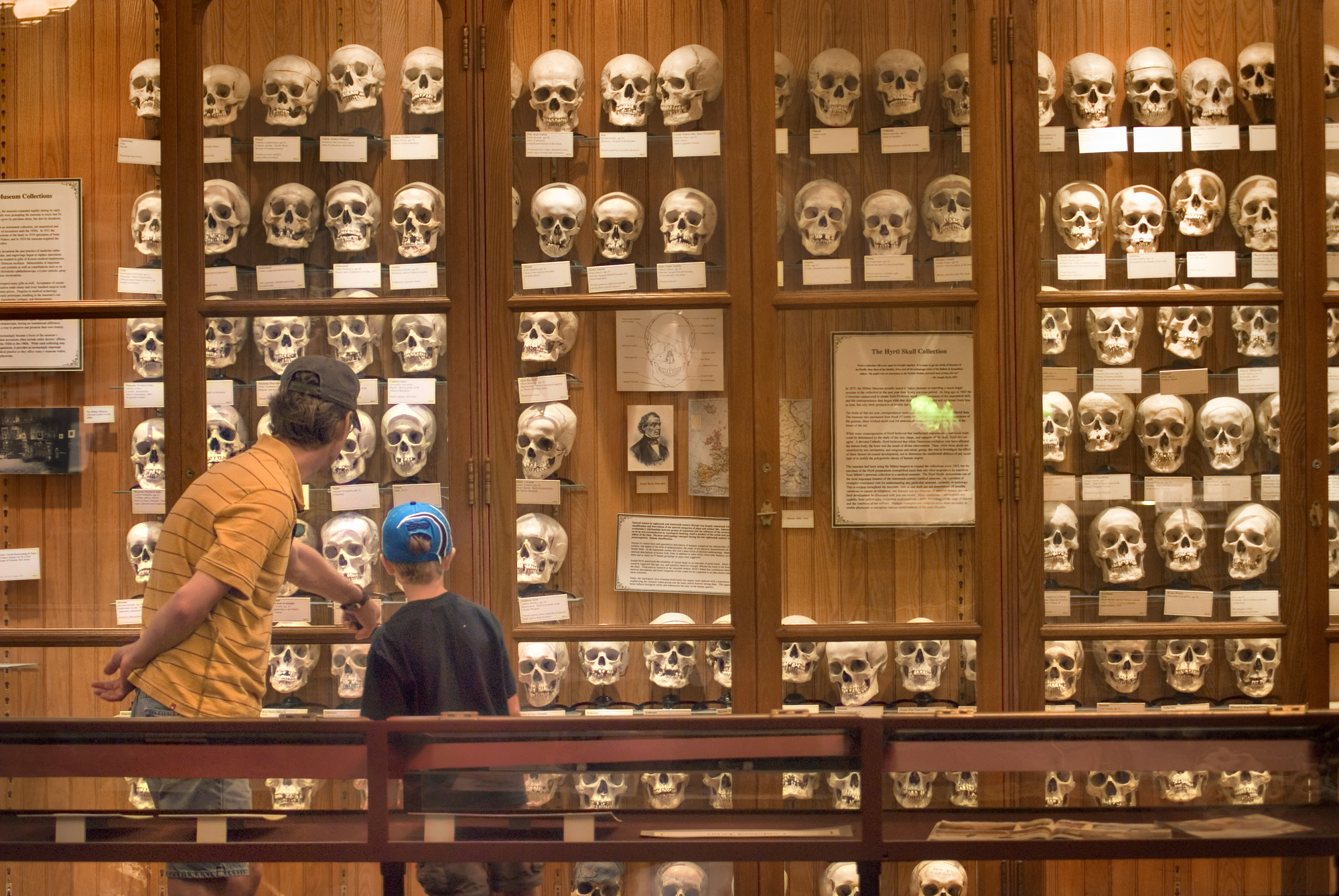 Get a Mütter Museum-inspired tattoo at its first Tattoo Flash Day on Nov. 22 — PhillyVoice